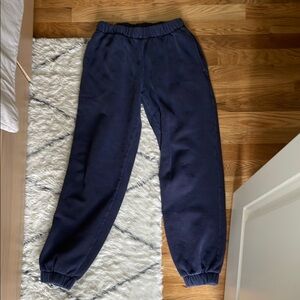 Brandy Melville Rosa Pants in Navy